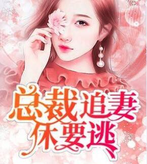 主角叫夏禹袁莉的小说
