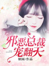 我的冰山女总裁叶帆