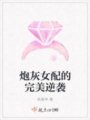 将军，夫人又私奔了小说