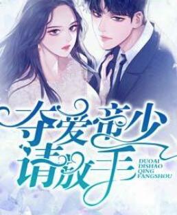 一夜锁情总裁先生请温柔
