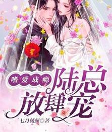 陆钦林遇冉冉小说