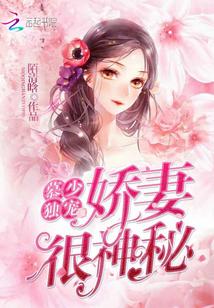 书名是棠鲤卫擎