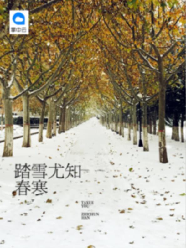 特级萌爸