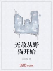夫人使劲虐