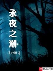 陆志安秦如风小说