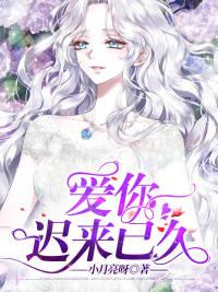 天赐良缘之追夫记