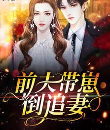 苏婧宁靳霖小说